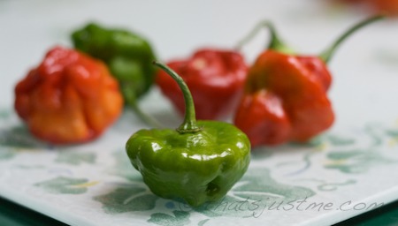 CSA Week 18 aji dulce peppers - not hot