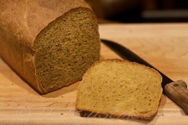 slice of home made transitional whole wheat bread