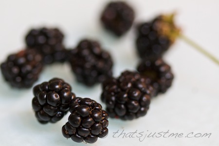blackberries from backyard