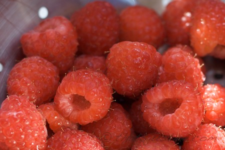 raspberries have hollow fruit