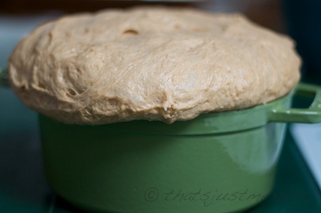 Bread dough rising over the top of my 2 qt staub pot