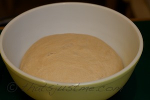 the dough after first rise