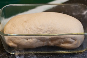 dough in loaf pan before final proof