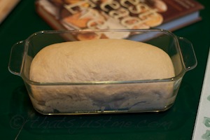 bread dough after proof