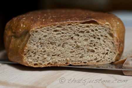 no knead whole wheat bread