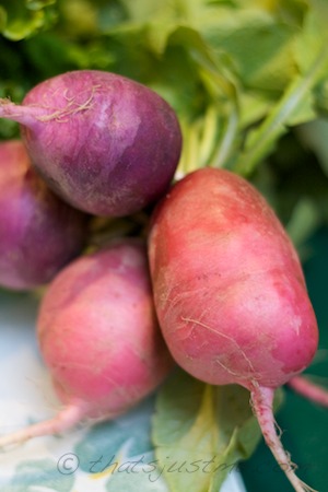 colorful spring radishes from the farm
