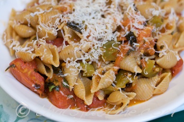 whole wheat pasta shells with roasted tomatoes simmering with spices topped with cheese