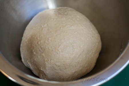 bread dough after kneading, before putting in refrigerator for long slow cold fermentation