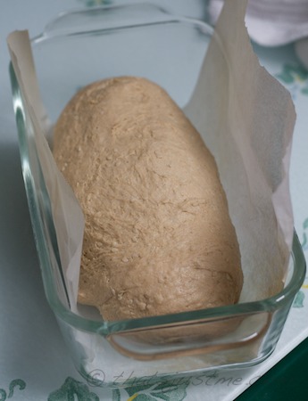 shape dough into a loaf