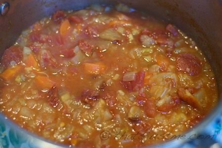 chunky spicy fennel onion tomato soup-before blending
