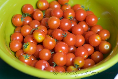 the huge bounty of cherry tomatoes