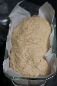 whole wheat oatmeal bread dough in loaf pan