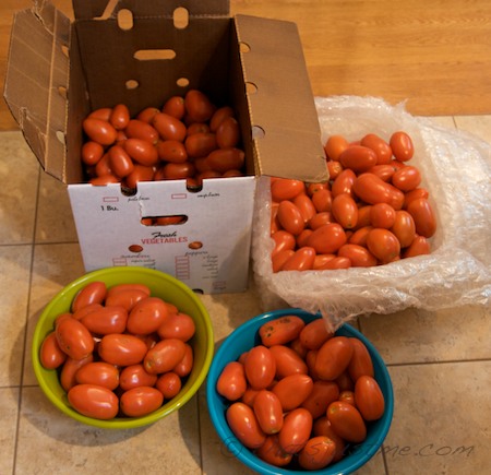 50 lbs of tomatoes