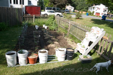 expanded garden, another wide row and moved containers