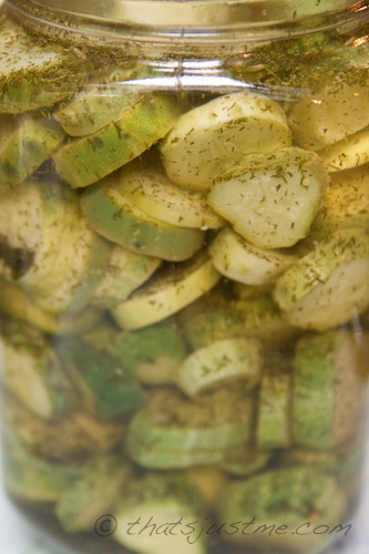 homemade fridge pickles