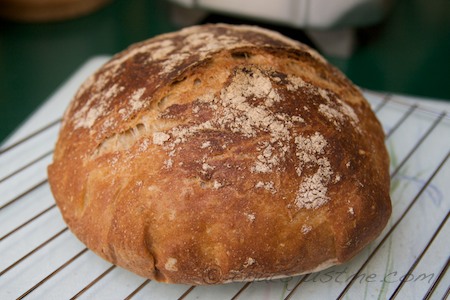 no knead bread - artisan and gorgeous